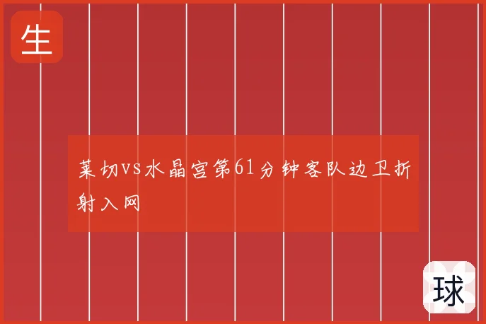莱切vs水晶宫第61分钟客队边卫折射入网
